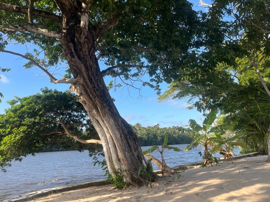 Pousada Paraiso Cultural Barreirinhas Zewnętrze zdjęcie
